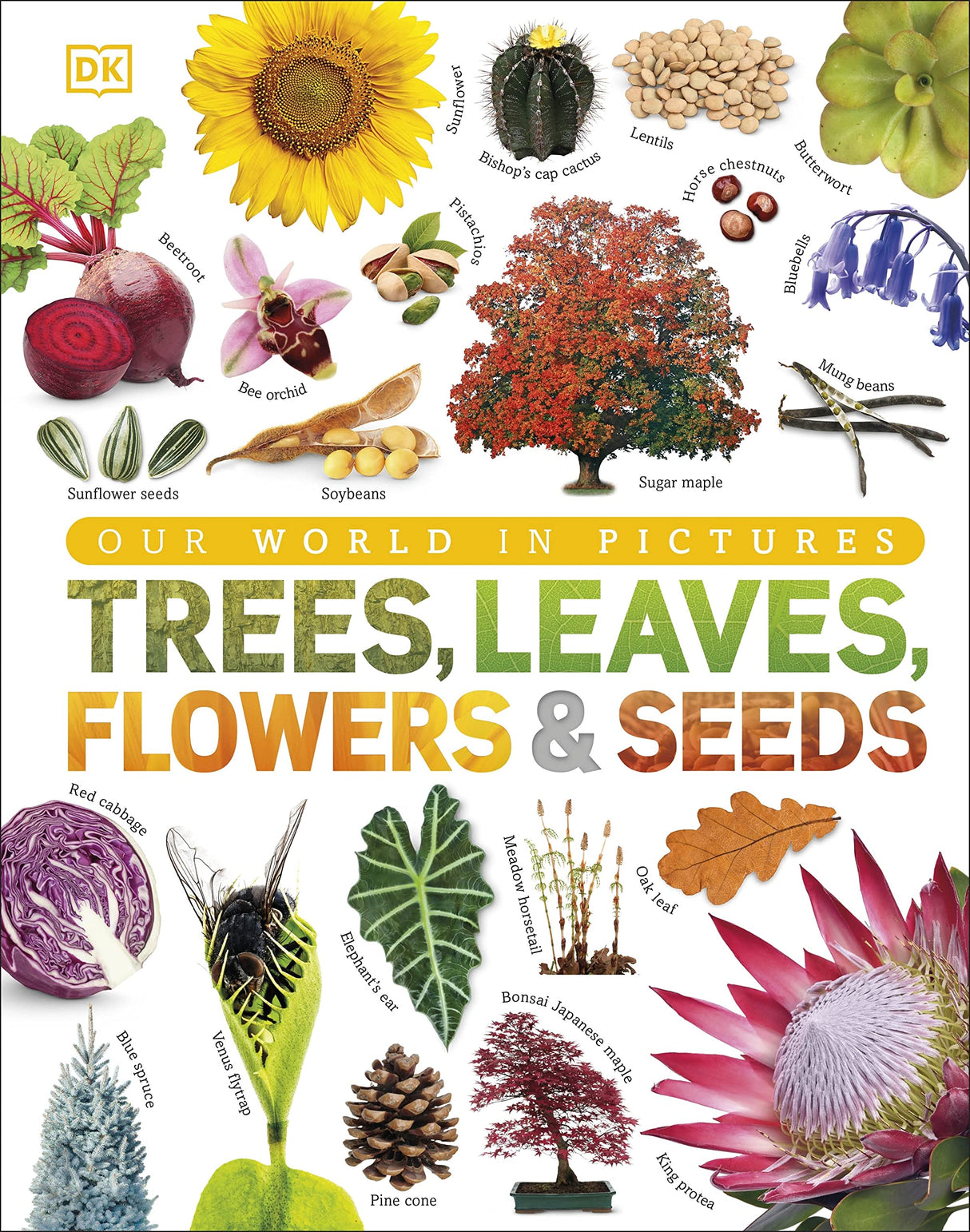 Trees, Leaves, Flowers & Seeds - Retail Maharaj