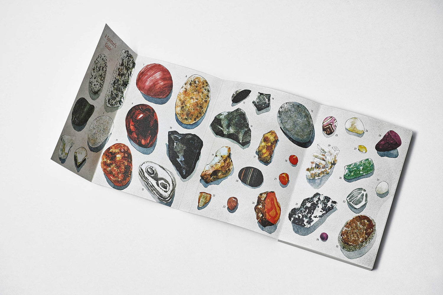 The Pebbles on the Beach