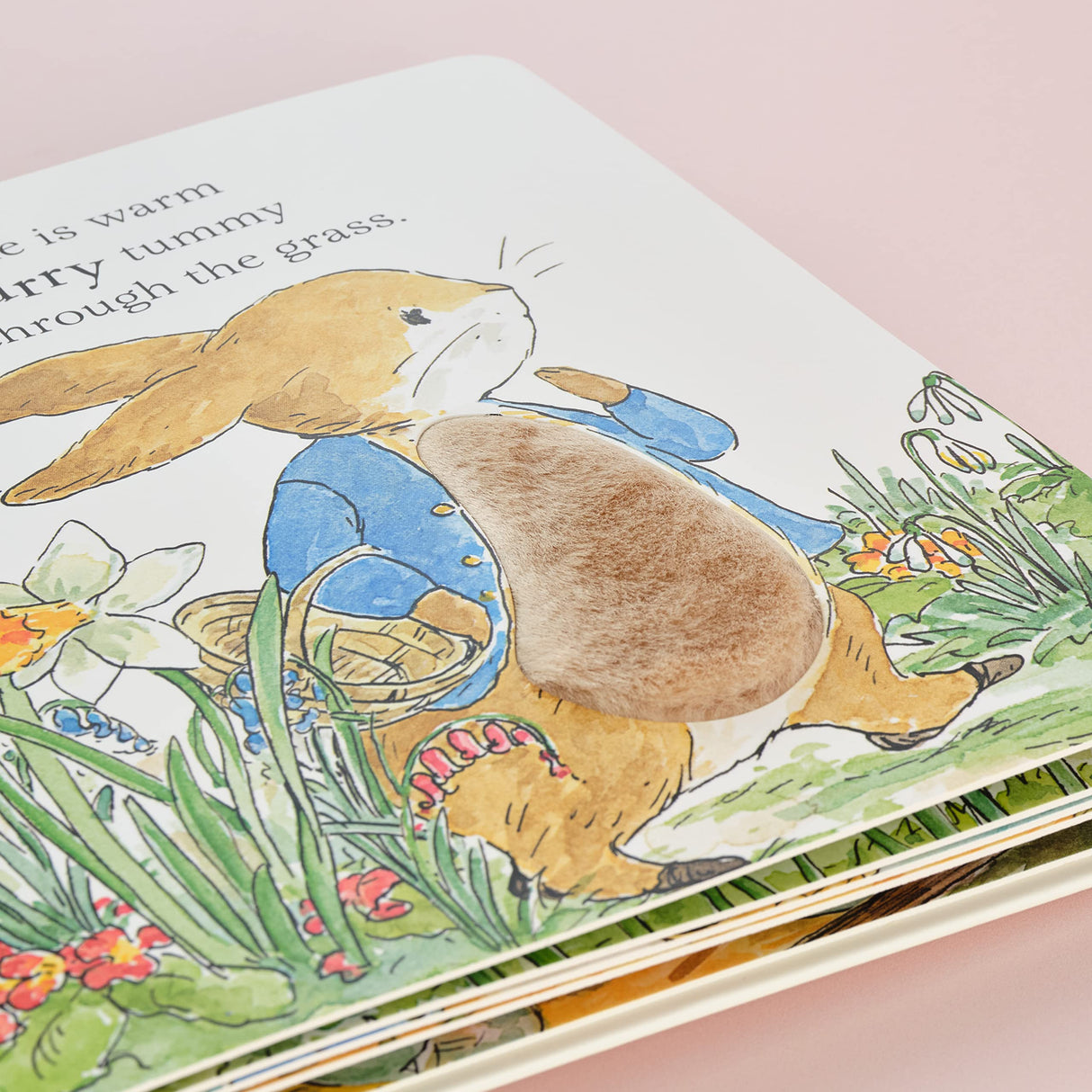 Peter Rabbit A Fluffy Easter Tale - Retail Maharaj