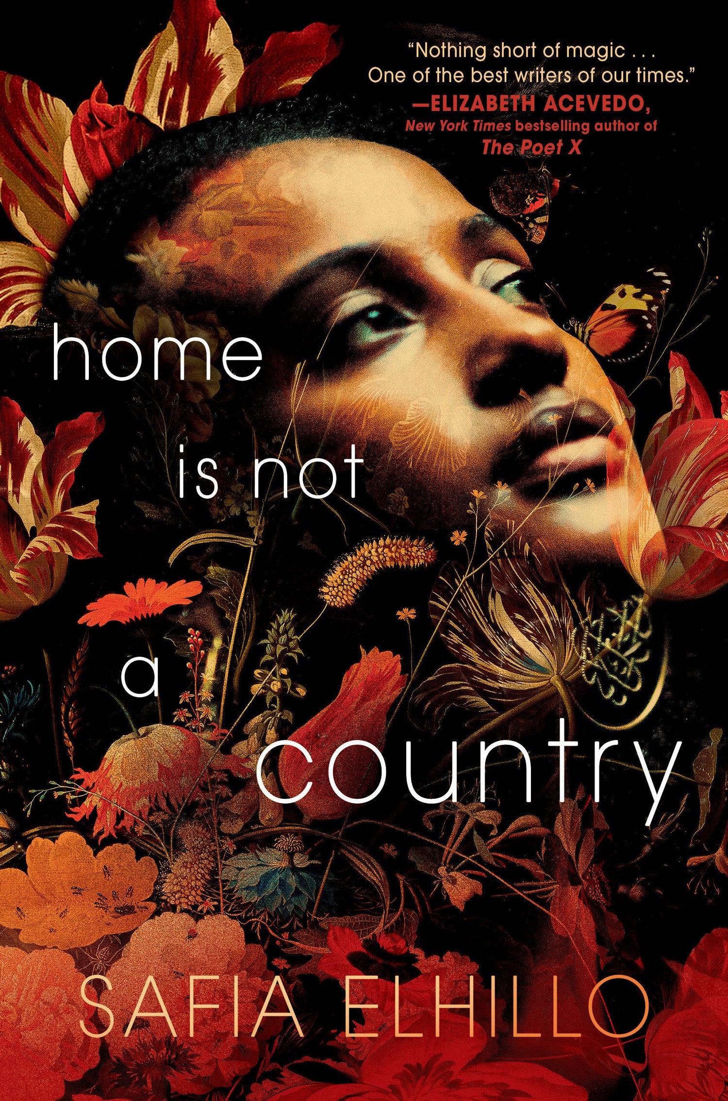 Home Is Not a Country: A Stuffie Story