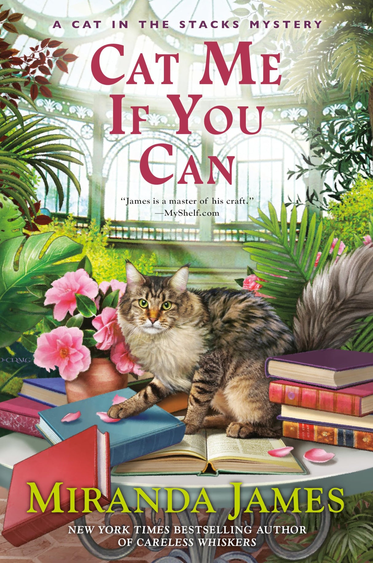 Cat Me If You Can: 13 (Cat in the Stacks Mystery)