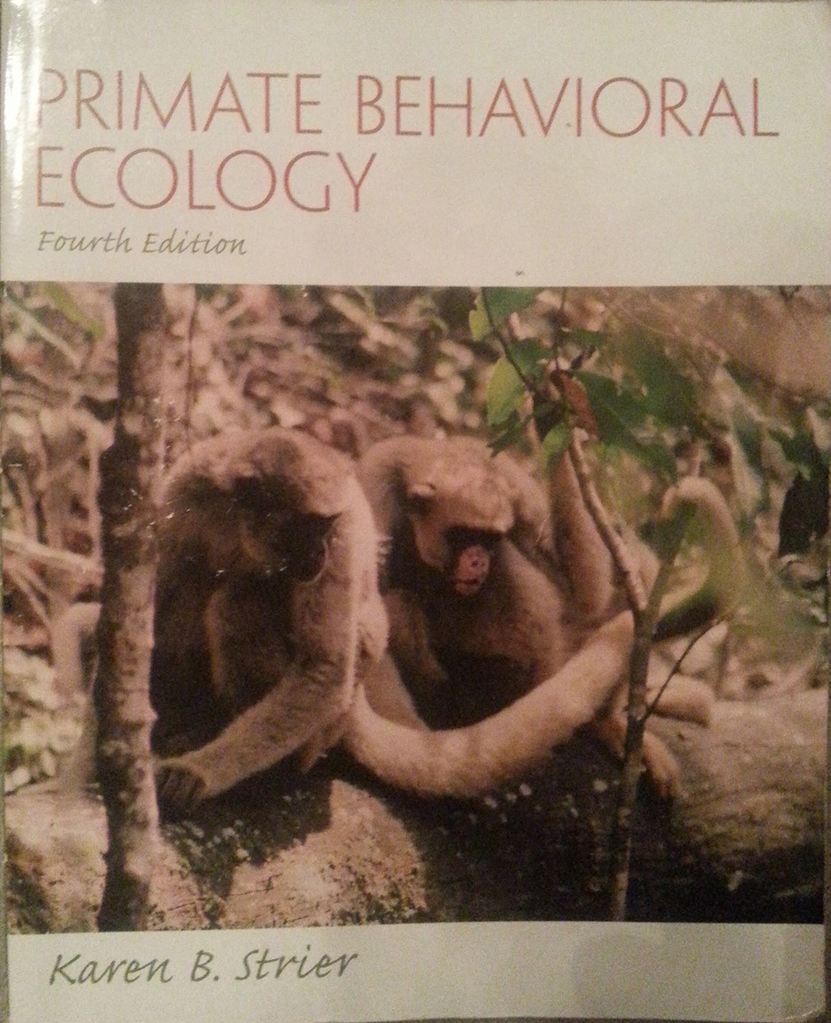 Primate Behavioral Ecology - Retail Maharaj