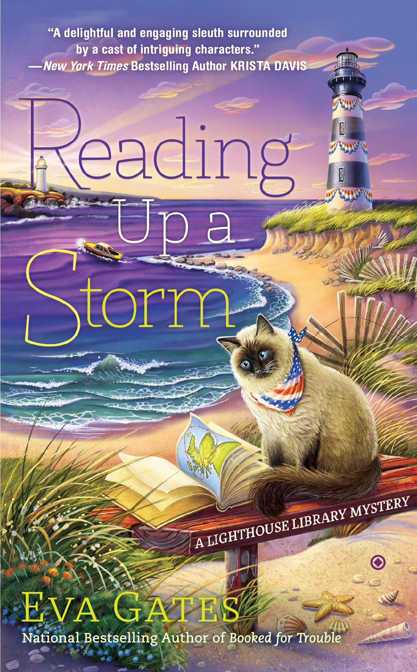 Reading Up A Storm: A Lighthouse Library Mystery: 3