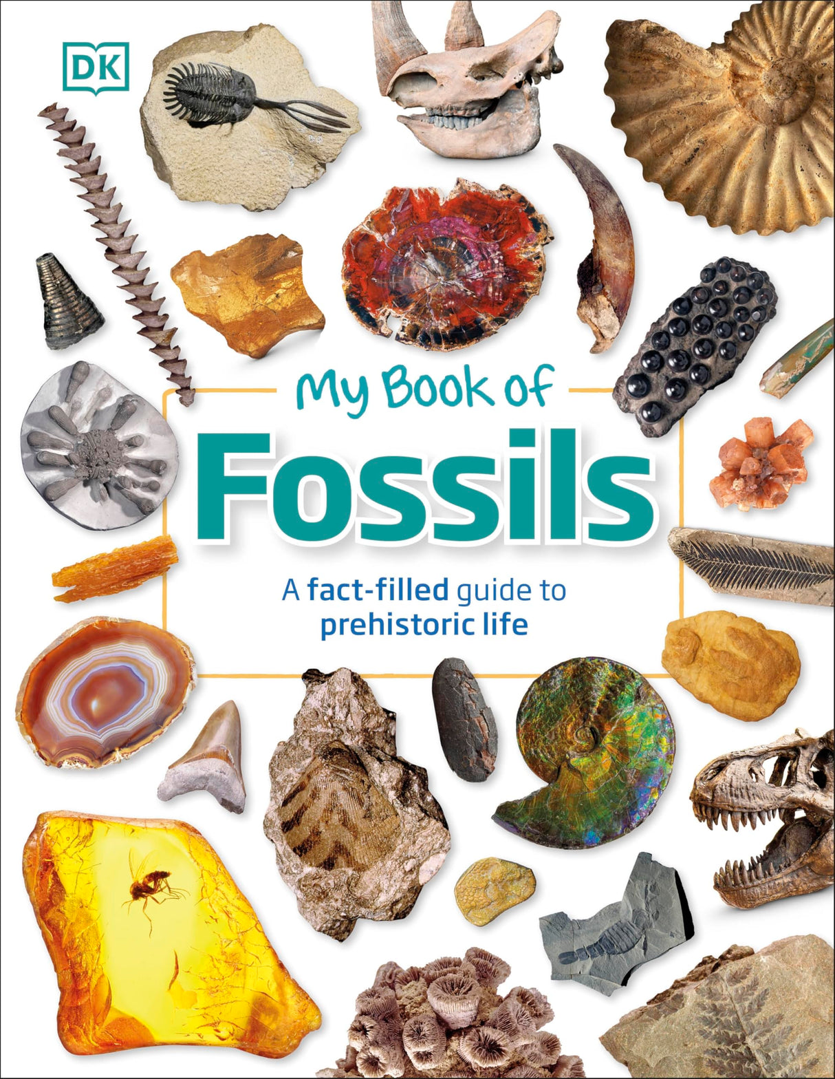 My Book of Fossils - Retail Maharaj