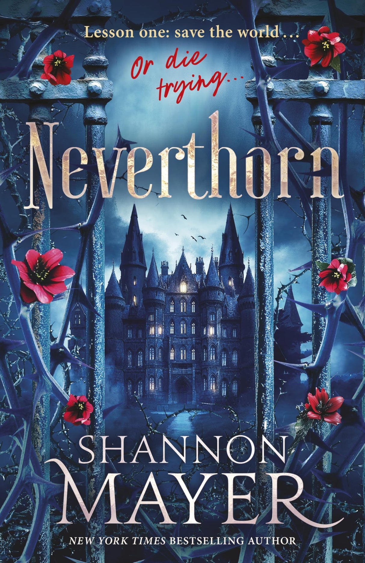 Neverthorn - Retail Maharaj