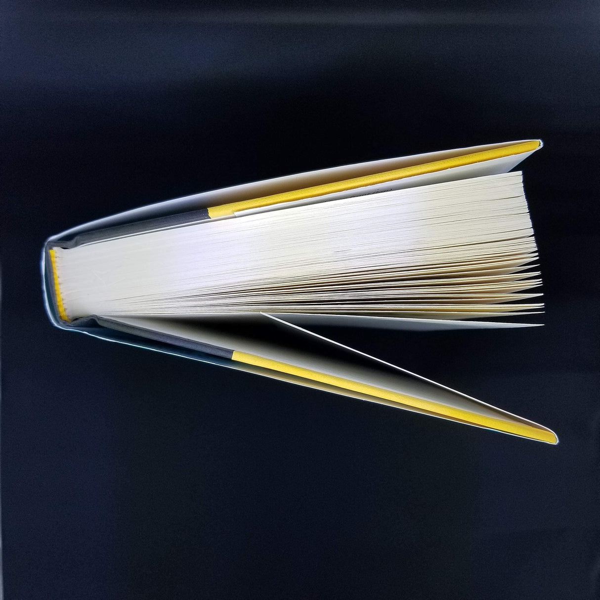 The First 90 Days, Updated and Expanded - Retail Maharaj