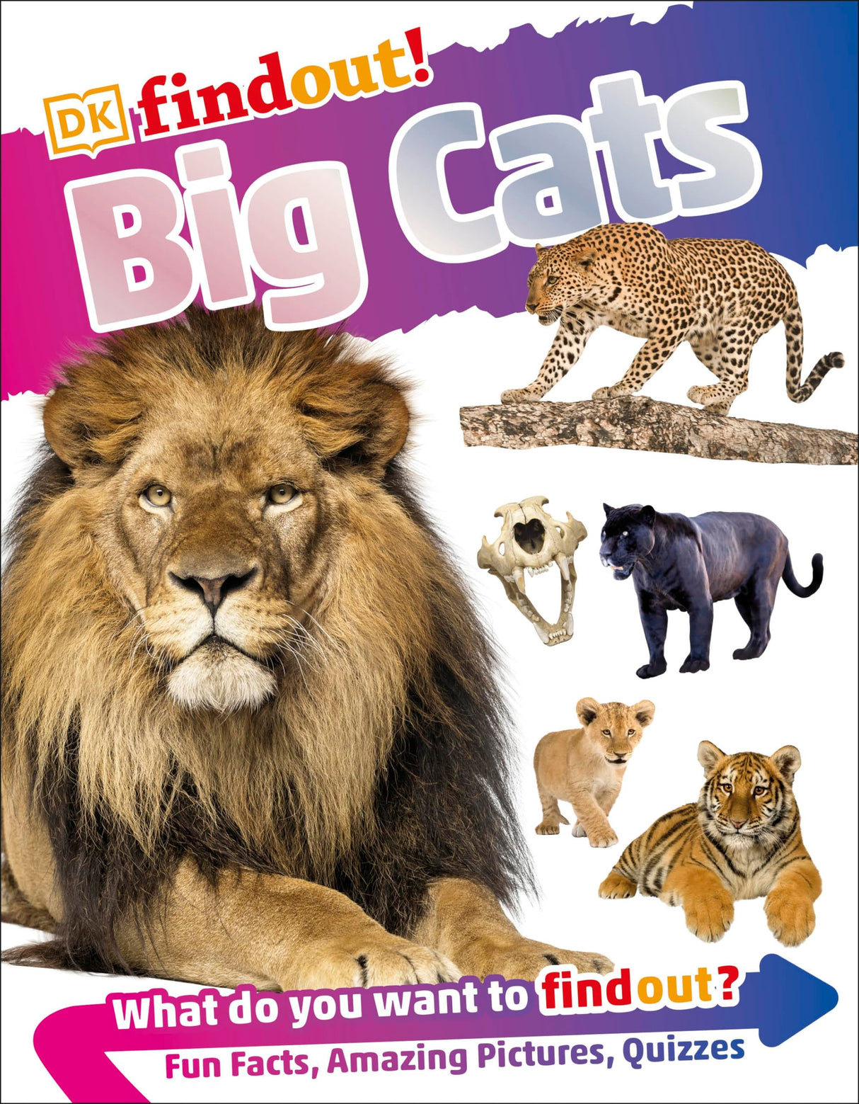 DKfindout! Big Cats - Retail Maharaj