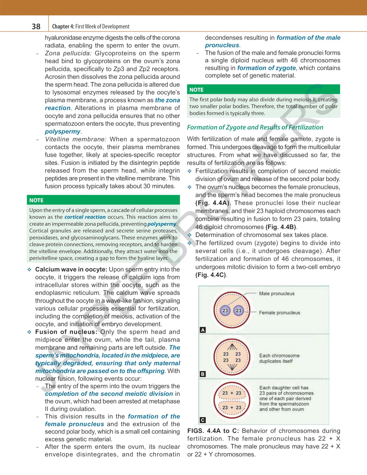 INDERBIR SINGH'S HUMAN EMBRYOLOGY