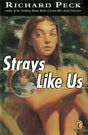 Strays Like Us - Retail Maharaj