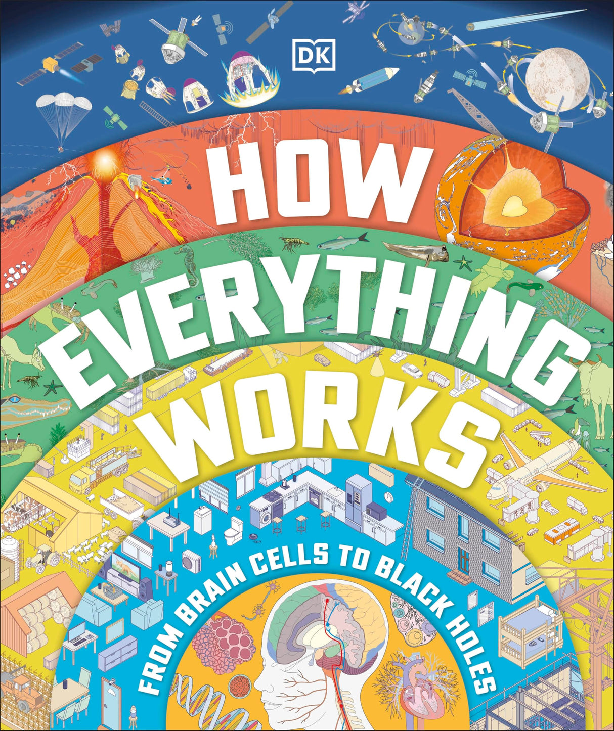 How Everything Works: From Brain Cells to Black Holes - Retail Maharaj