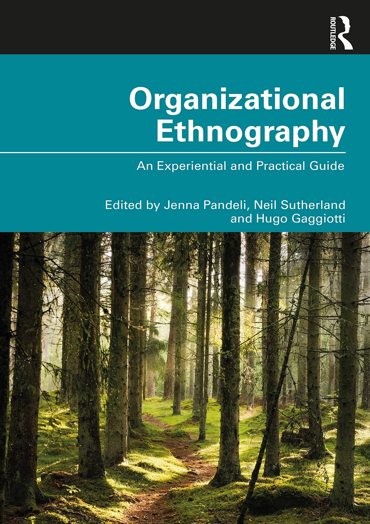 Organizational Ethnography: An Experiential and Practical Guide - Retail Maharaj