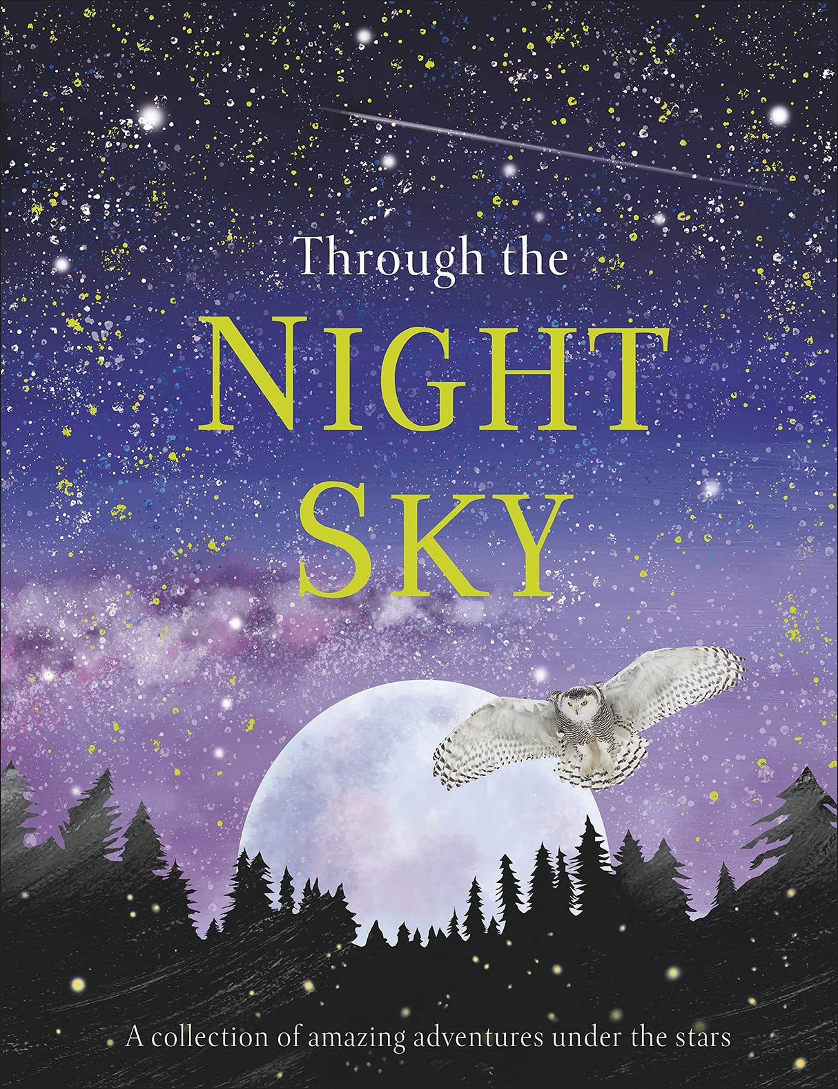 Through the Night Sky: A collection of amazing adventures under the stars (Snap Facts) - Retail Maharaj