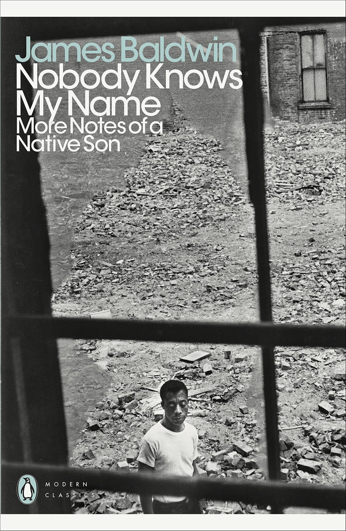 Nobody Knows My Name: More Notes Of A Native Son - Retail Maharaj
