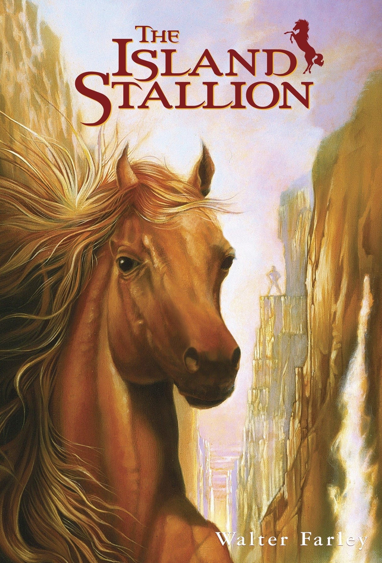 The Island Stallion - Retail Maharaj