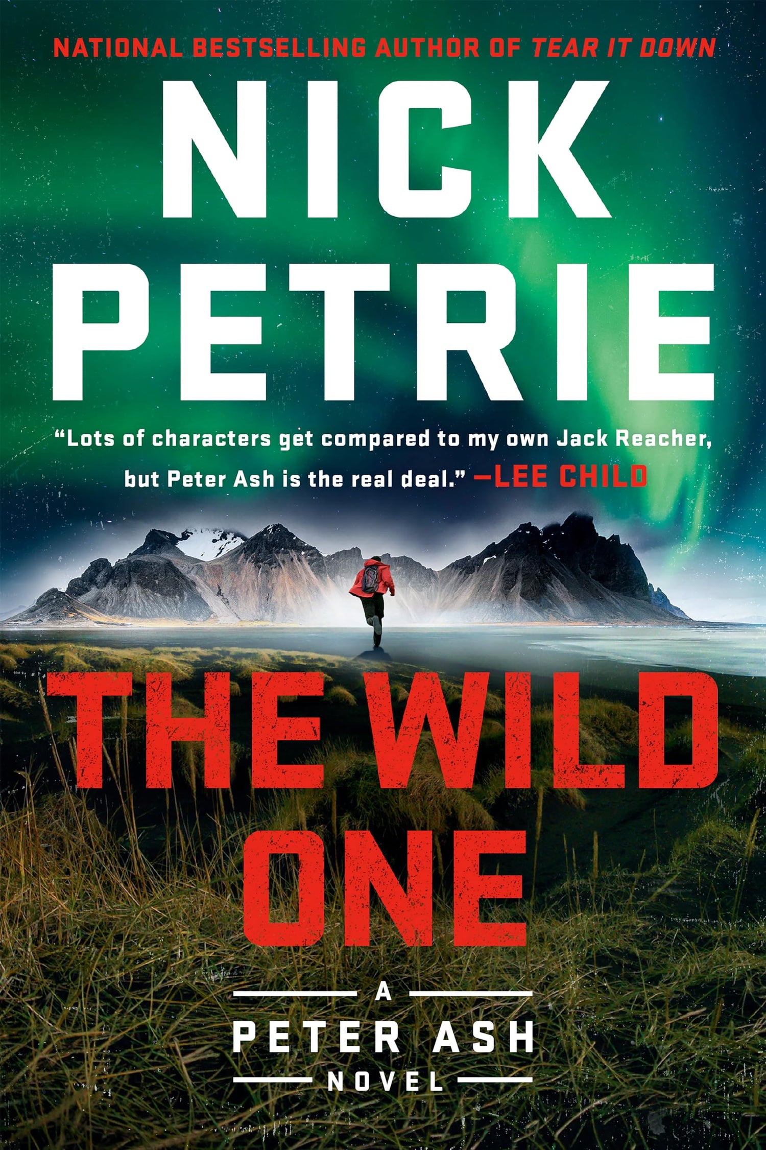 The Wild One: 5 (A Peter Ash Novel)