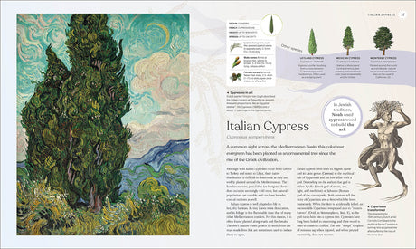 The Tree Book: The Stories, Science, and History of Trees - Retail Maharaj