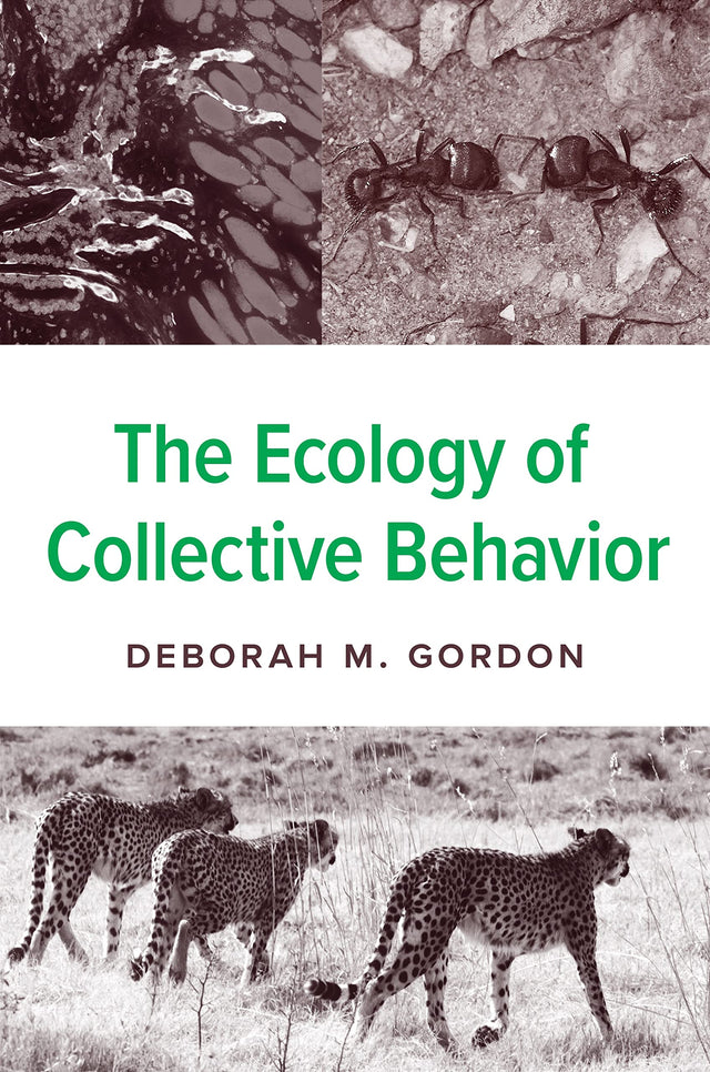 The Ecology of Collective Behavior - Retail Maharaj