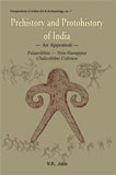 Prehistory and protohistory of India: an appraisal: Palaeolithic, non-Harappan, Chalcolithic cultures - Retail Maharaj