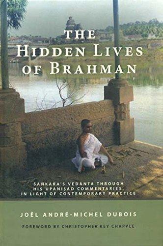 The hidden lives of Brahman: Sankara's Vedanta through his Upanisad commentaries, in light of contemporary practice, foreword by Christopher Key Chapple