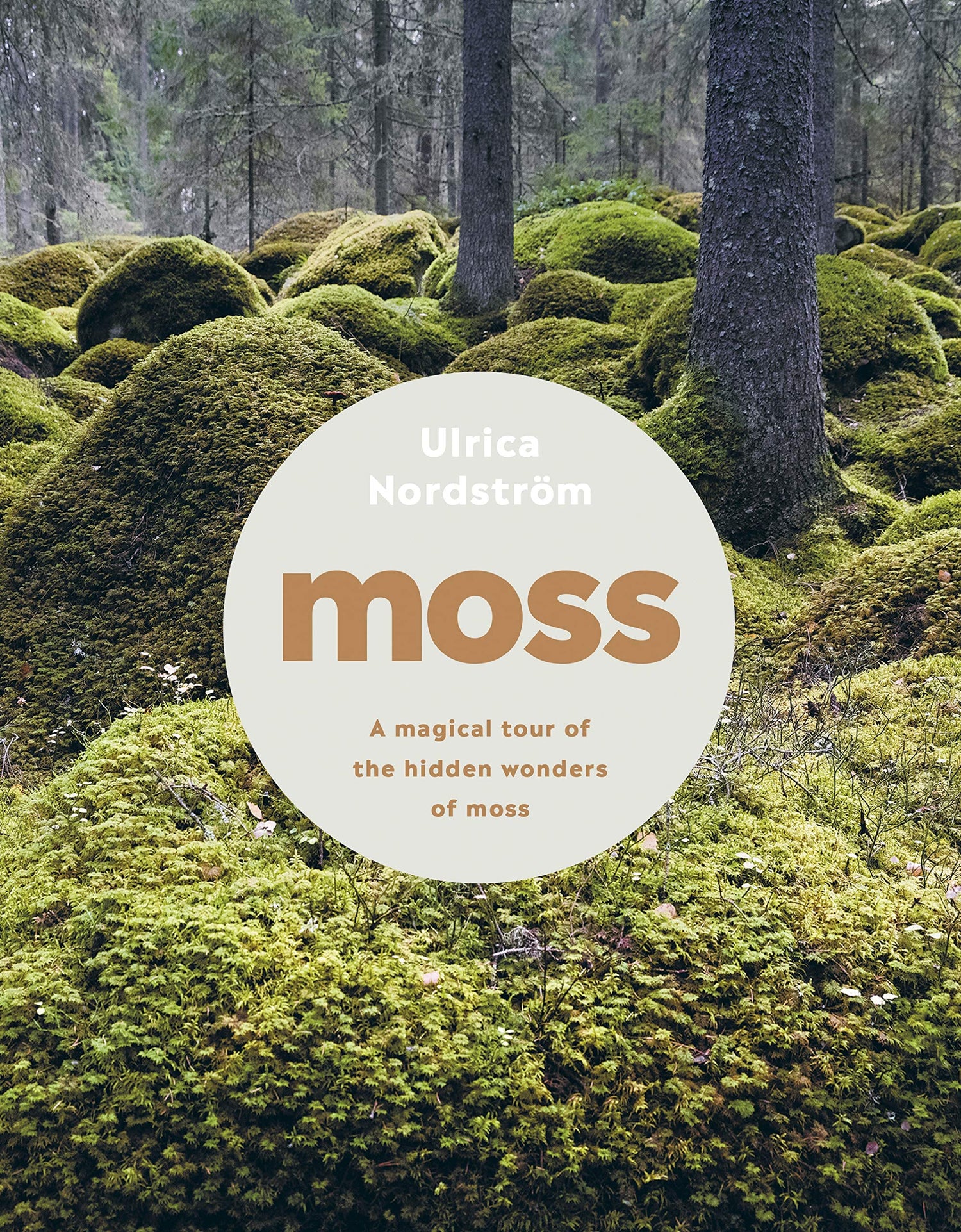 Moss - Retail Maharaj