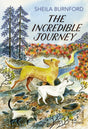 The Incredible Journey - Retail Maharaj