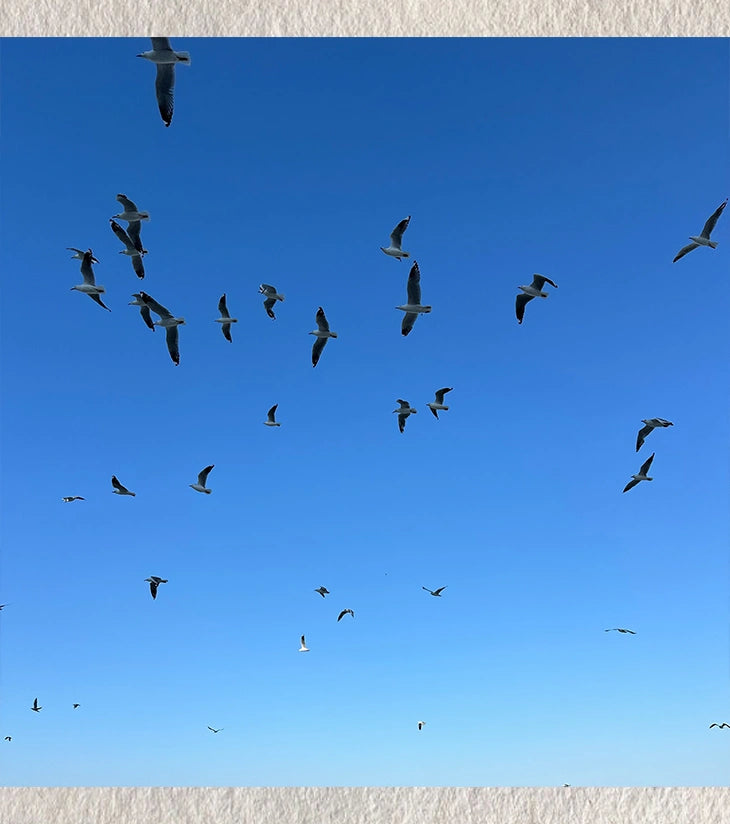 “The Flight Code” by Ankita Sengupta - Retail Maharaj