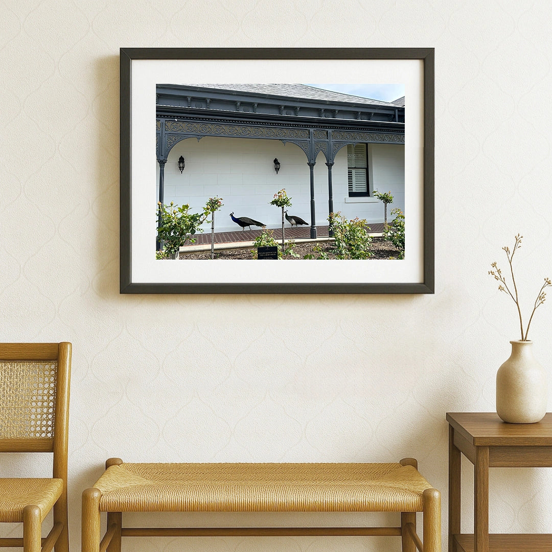 “Royal Promenade” by Ankita Sengupta - Retail Maharaj