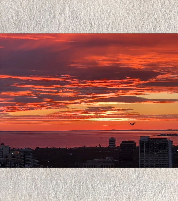“Wings of Dusk – Melbourne Bay Sunset” by Ankita Sengupta - Retail Maharaj
