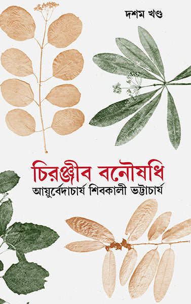 Chiranjib Banoushadhi 10 - Retail Maharaj