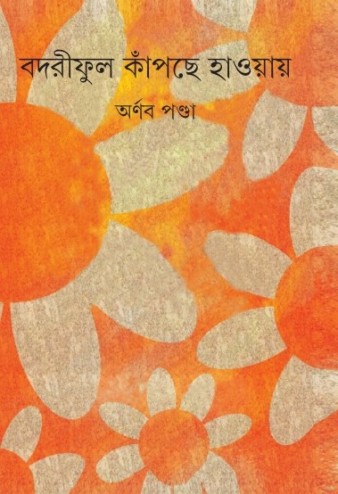 Badariful Kapche Haoyay - Retail Maharaj