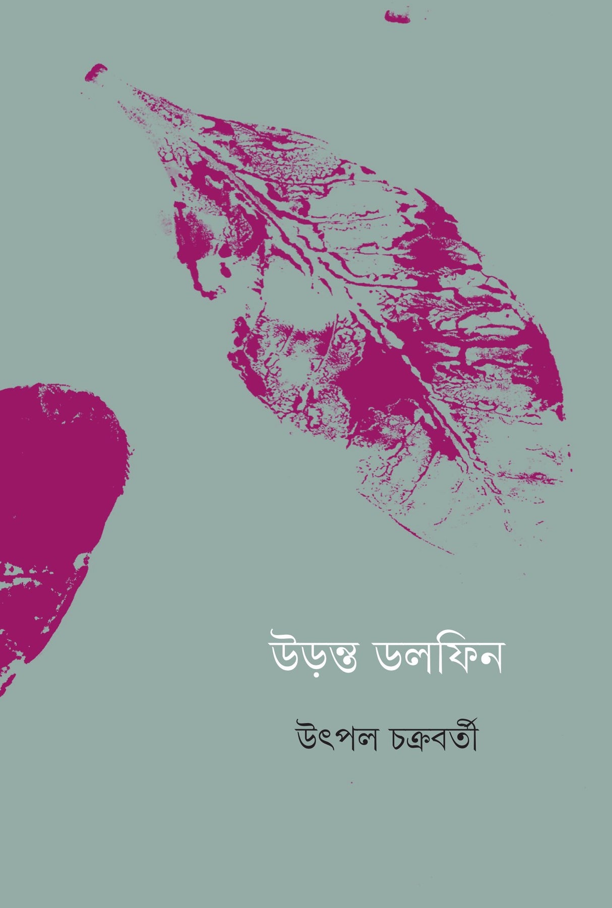 Uranta Dolphin - Retail Maharaj