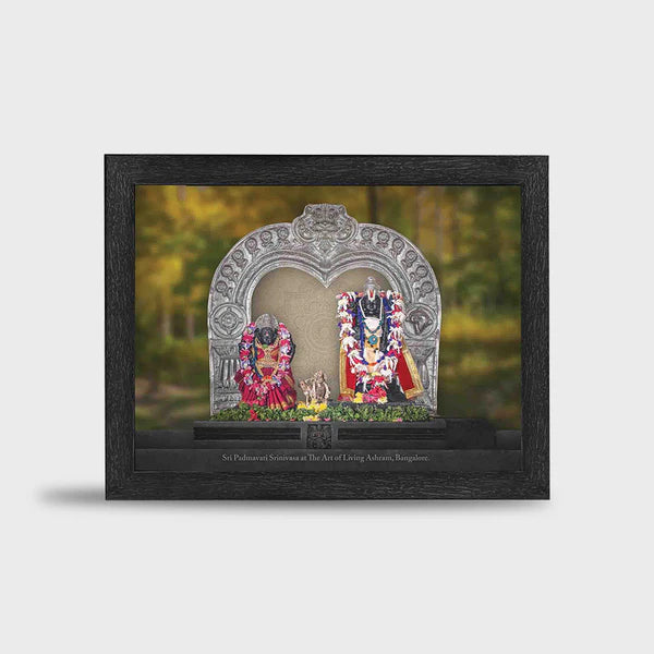 Augmented Reality Photo Frame: Sri Padmavati Srinivasa – 11.7"x16.5" Framed Picture with Immersive Aarti Experience - Retail Maharaj