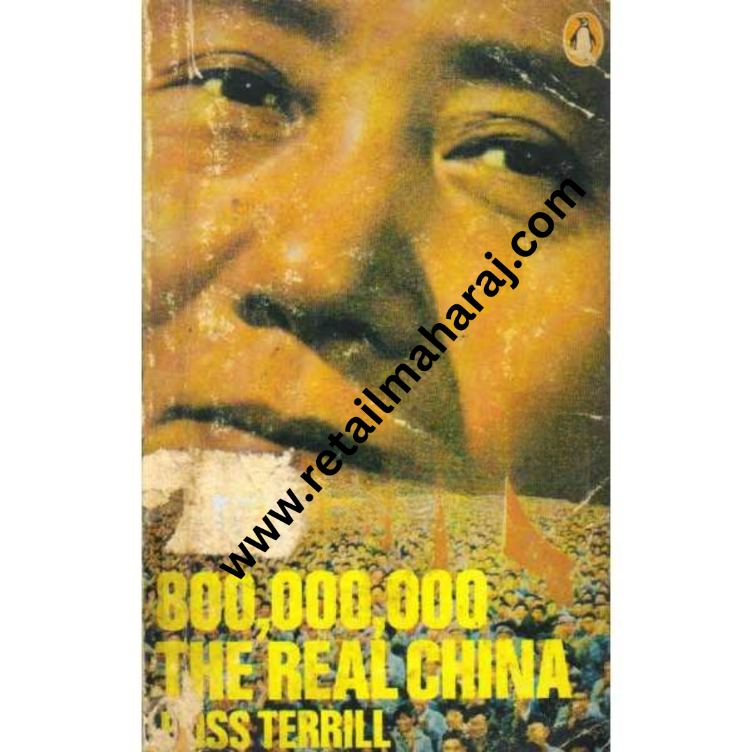 800,000,000 the Real China - Retail Maharaj
