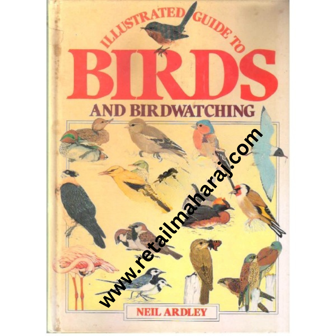 Birds And Watching - Retail Maharaj