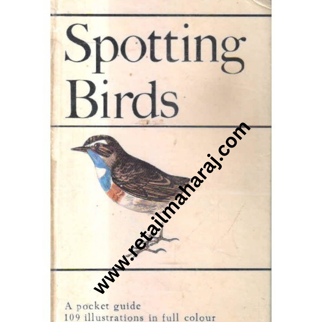 spotting birds - Retail Maharaj