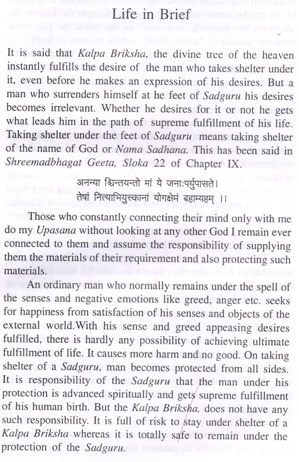 Sadguru Incarnation of God- Sri Bijoykrishna Goswami (English) - Retail Maharaj