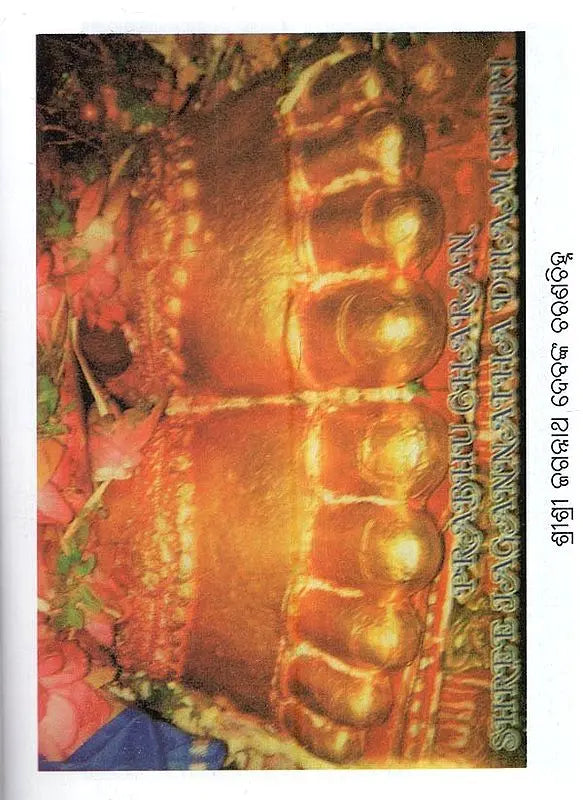 Shree Jagannathdev's Navakalebar and Parkuhottamdham (Oriya) - Retail Maharaj