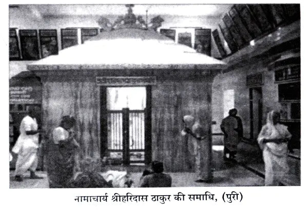 Navakalevar and Purushottamdham of Sri Sri Jagannath Dev (Hindi) - Retail Maharaj