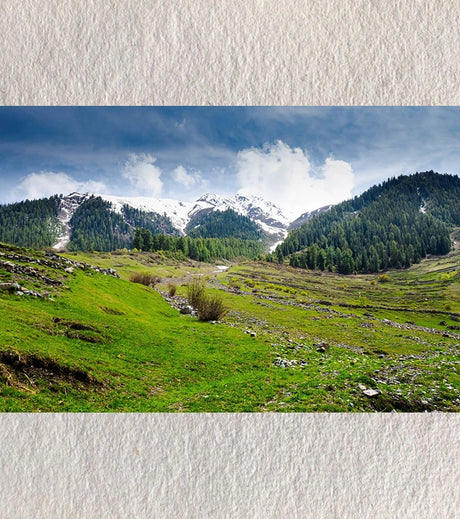 “Verdant Veins – Udaipur Valley” by Debarshi Guha Roy - Retail Maharaj