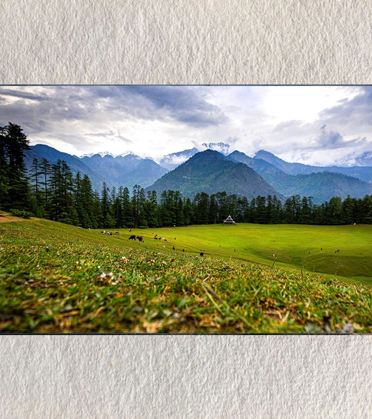 Shangar’s Embrace – A Frame by Debarshi Guha Roy - Retail Maharaj