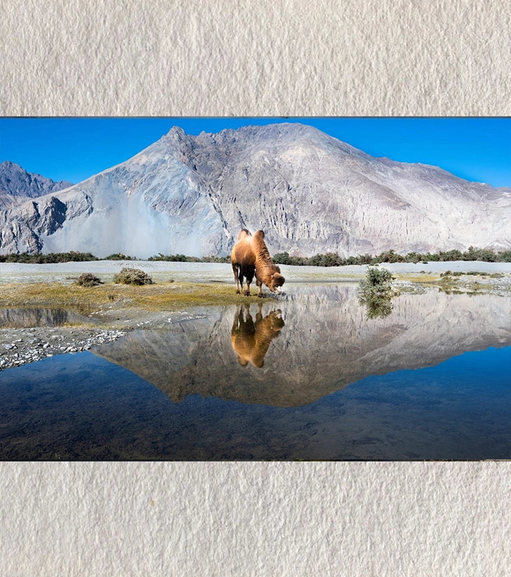 Reflection of Resilience – Hundar by Debarshi Guha Roy - Retail Maharaj