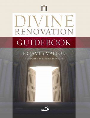 Divine Renovation Guidebook - Retail Maharaj