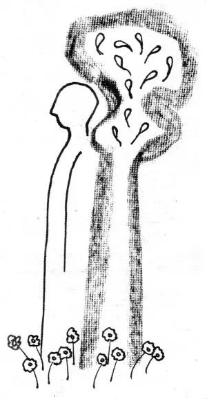 Kobike Lekha Chhithi (Bengali Version) - Retail Maharaj