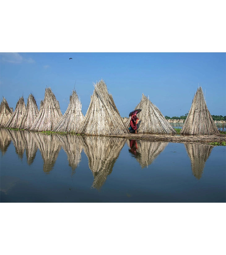 Golden Threads of Bortir Bill – Fine Art Photograph by Sayantan Sengupta - Retail Maharaj