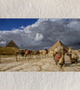 Echoes of Empire – Camels & Pyramids, Cairo | Fine-Art Photograph by Sayantan Sengupta - Retail Maharaj