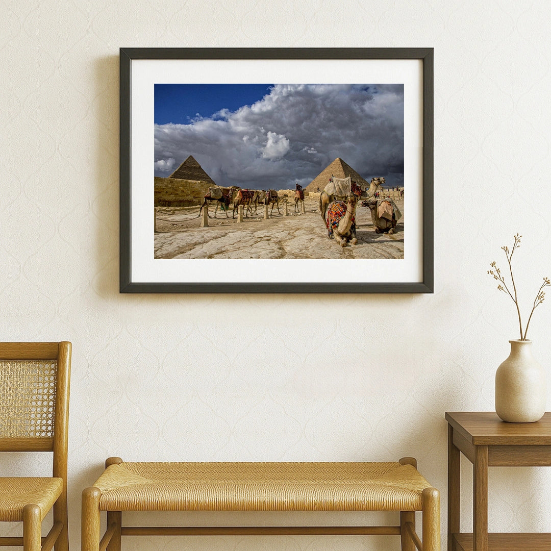 Echoes of Empire – Camels & Pyramids, Cairo | Fine-Art Photograph by Sayantan Sengupta - Retail Maharaj