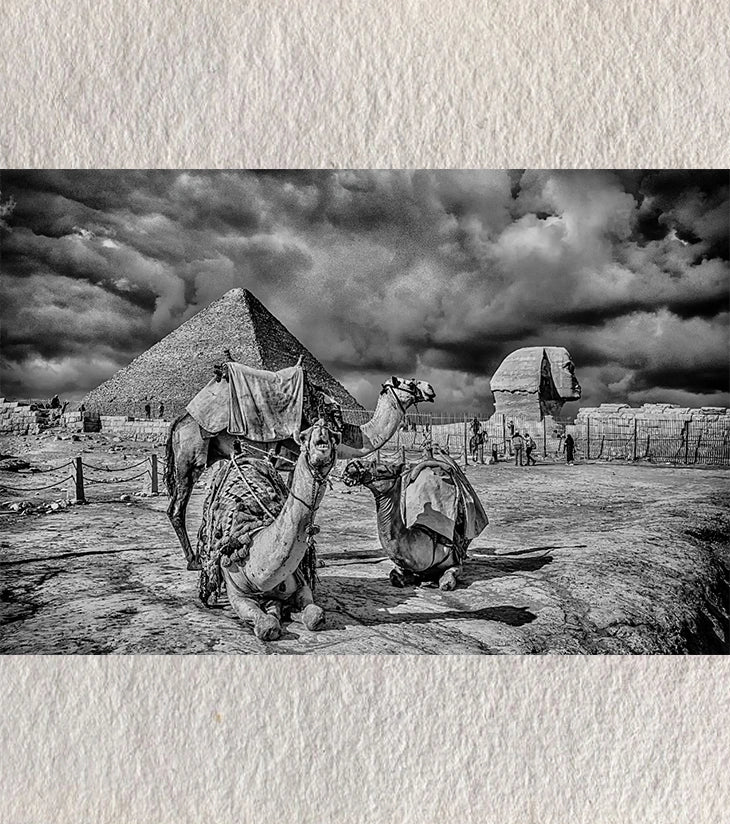 Desert Royalty – Pyramids of Giza, Cairo – Limited Edition Fine Art Photograph by Sayantan Sengupta - Retail Maharaj
