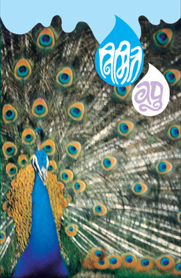 NIMITTA - Retail Maharaj