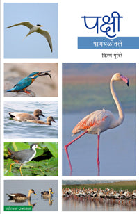 पक्षी - पाणथळीतले - Retail Maharaj