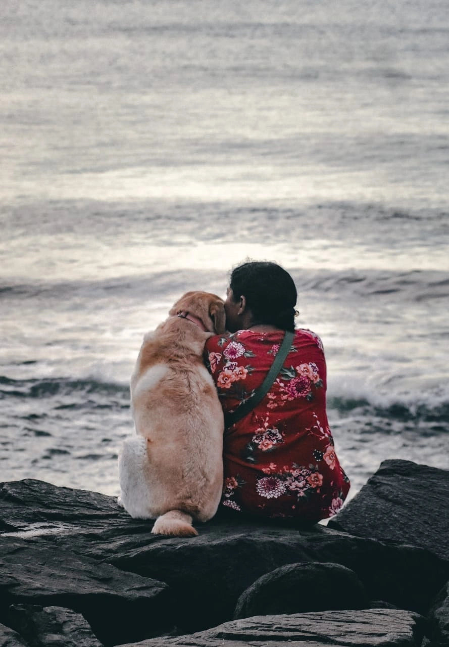 Eternal Bond – By the Shore: A Tribute to Companionship and Trust - Retail Maharaj